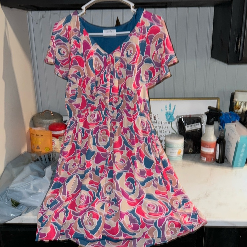 Emily Wonders flutter sleavr dress. Never worn. Lined dress
